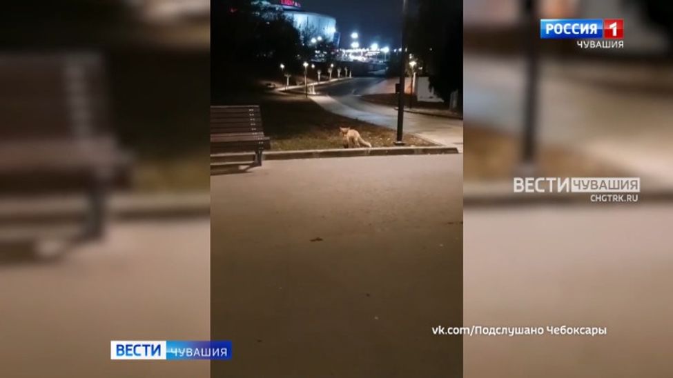 Мобильный репортер. Выпуск от 14.10.2023 Мобильный репортер. Выпуск от 14.10.2023