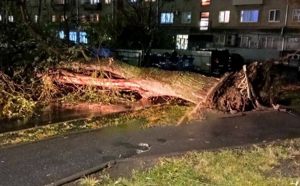В Чебоксарах сильный ветер уронил 10 деревьев и сорвал крыши у 16 зданий