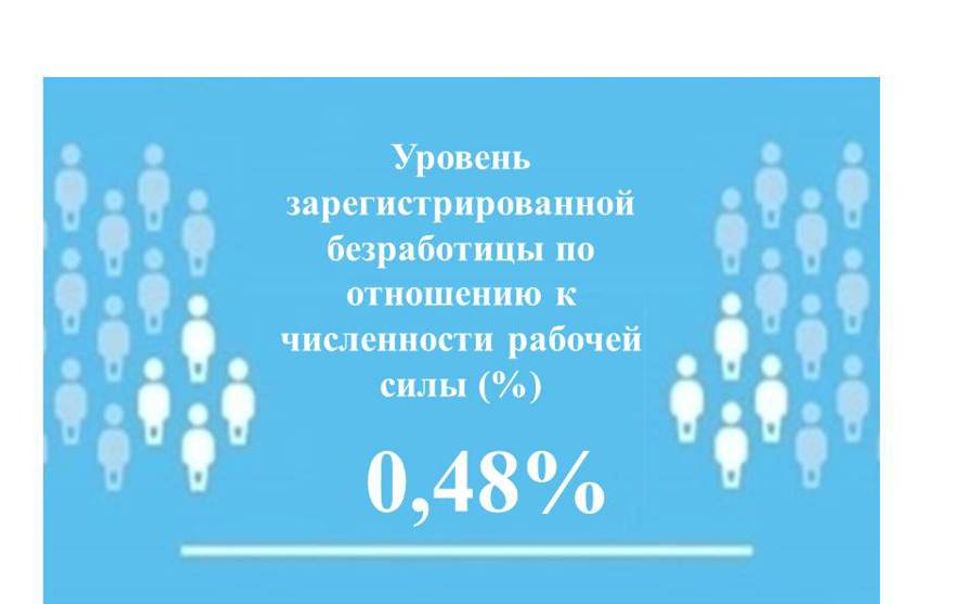 Уровень регистрируемой безработицы в Чувашии составил 0,48% Уровень регистрируемой безработицы в Чувашии составил 0,48%