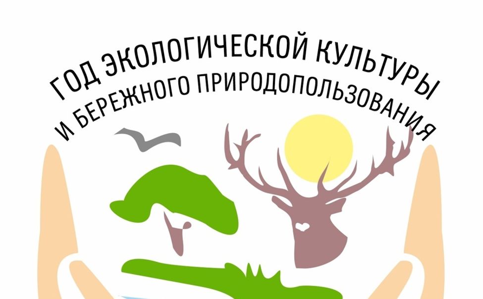 На конкурс по разработке логотипа и девиза Года экологической культуры в Чувашии подано 133 работы