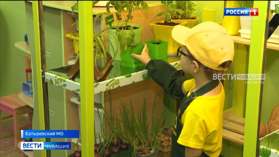 В Батыревском детском саду открылась агролаборатория