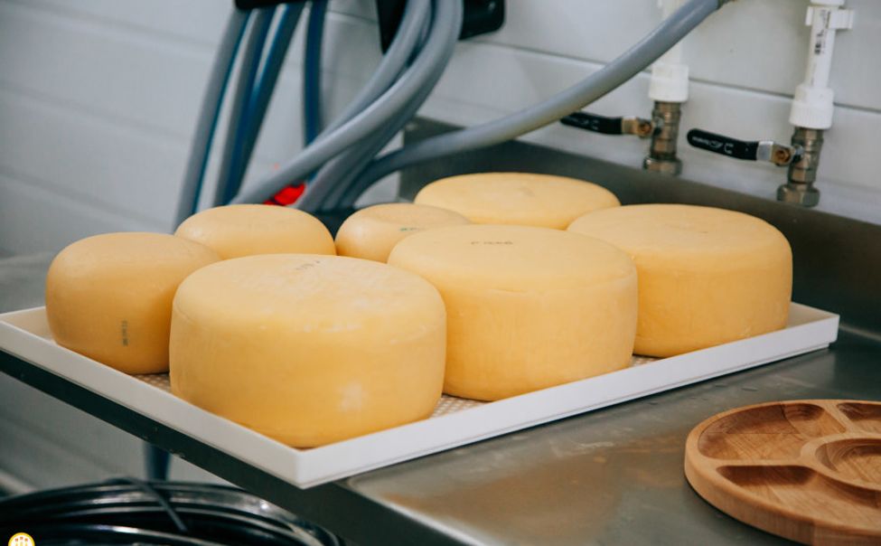 В Чувашии производство соков и сыров выросло почти в три раза