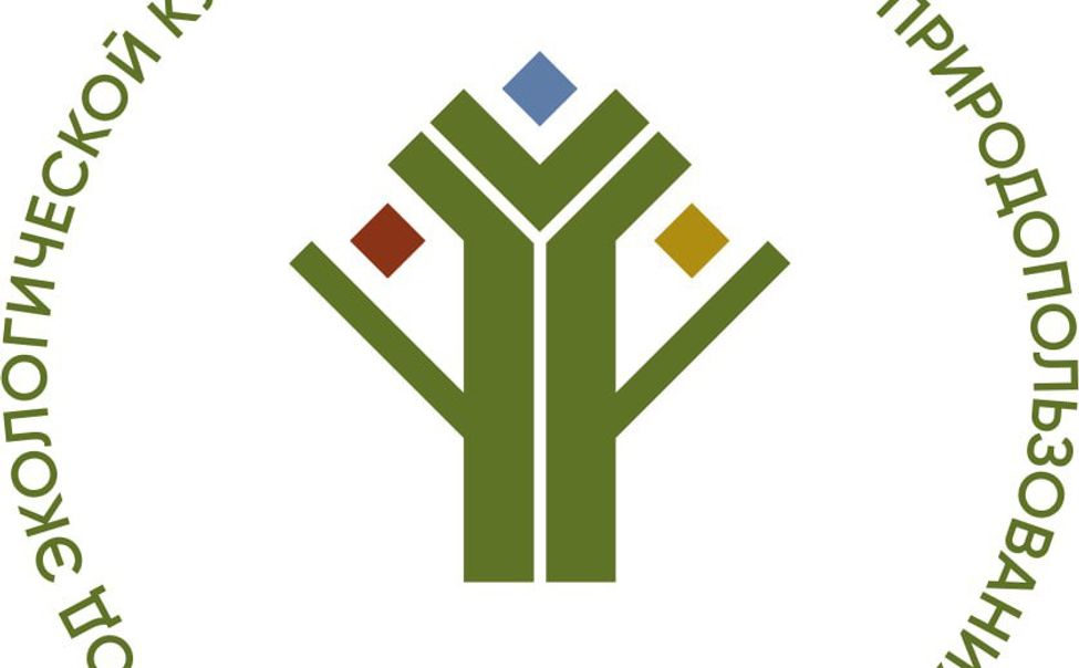 В эфире прямой линии Олега Николаева на ГТРК "Чувашия" показали логотип Года экологии