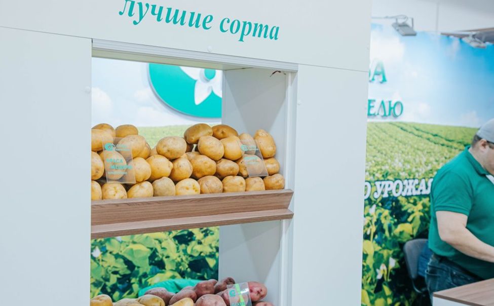 Более 50 предприятий подали заявки на участие в выставке «Картофель-2024» в Чувашии
