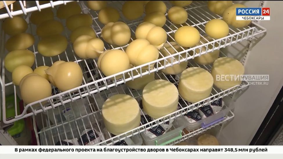 В Чувашии производится более 2,5 тысяч тонн сыра В Чувашии производится более 2,5 тысяч тонн сыра