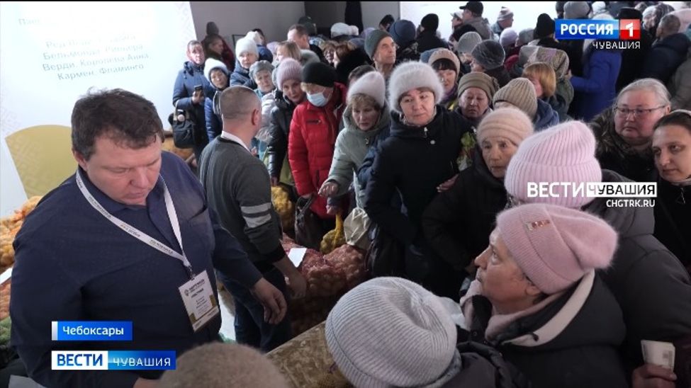 Жители Чувашии на выставке "Картофель - 2024" купили 44 тонны «второго хлеба»