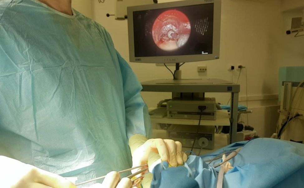Чувашские нейрохирурги провели в 2023 году 333 высокотехнологичных операций