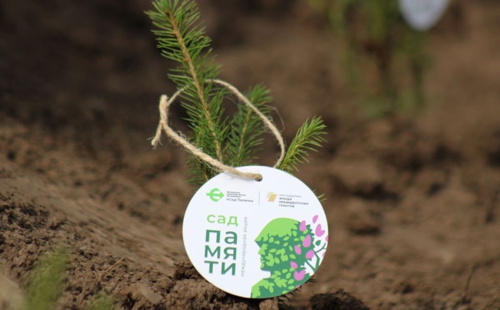 В Чувашии в рамках Международной акции «Сад памяти» высадят более 36 тысяч деревьев