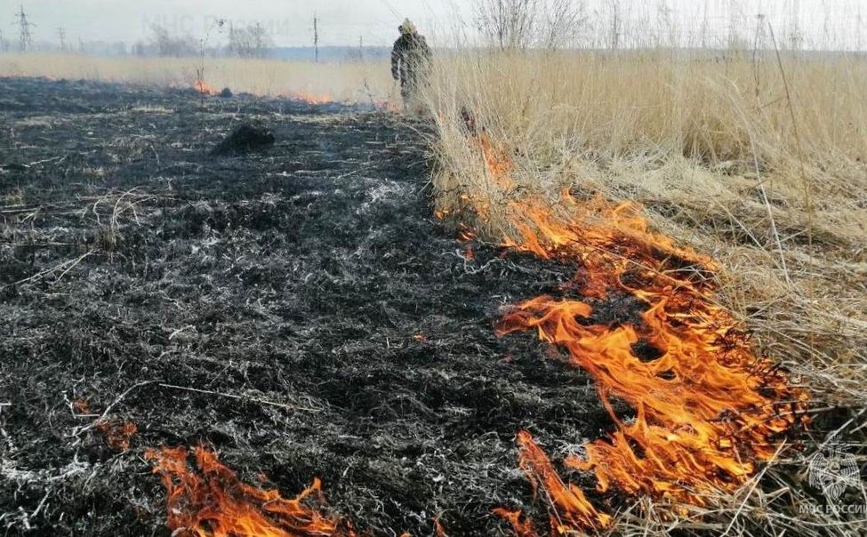 За сутки в Чувашии сгорело 1,7 га сухой травы