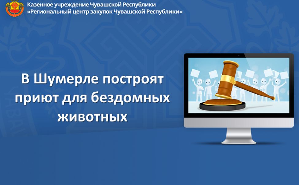 В Шумерле построят приют для бездомных животных