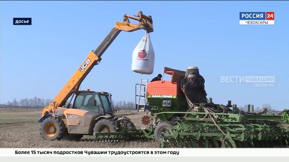 В Чувашии посеяно более 180 тысяч гектаров  яровых зерновых и зернобобовых культур