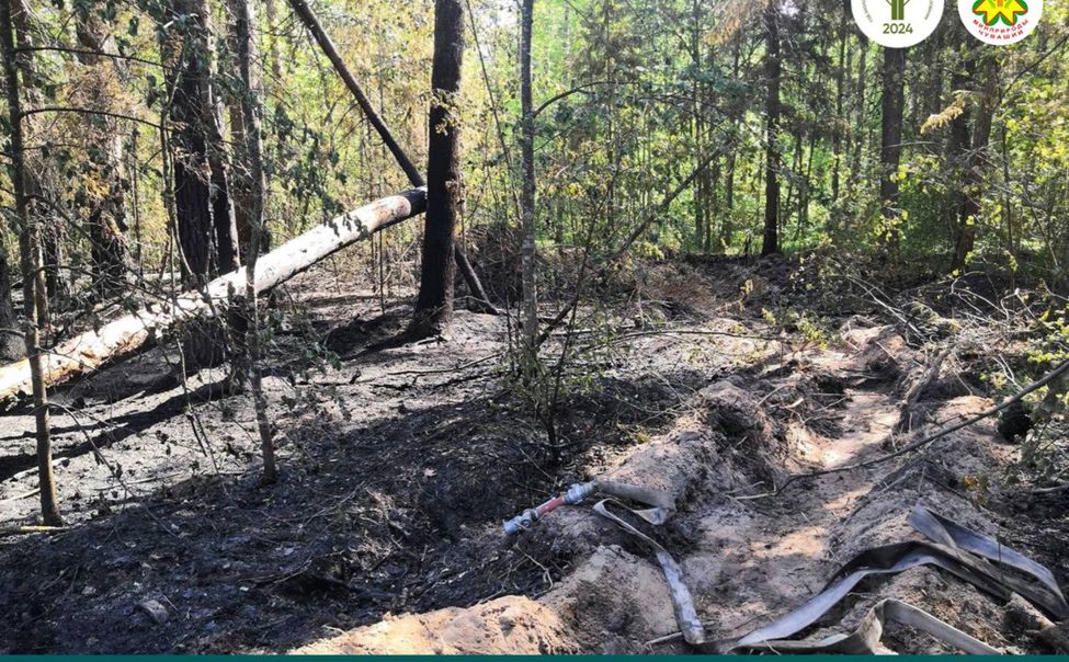 Из-за удара молнии в Шемуршинском округе произошел лесной пожар