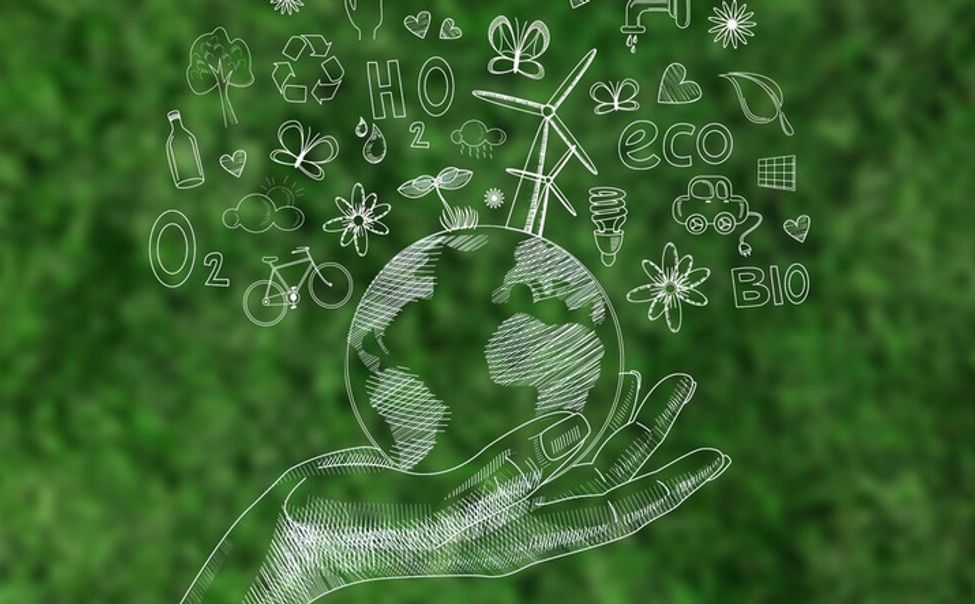 В Год экологии на ЧЭФ-2024 обсудят внедрение "зеленых технологий"
