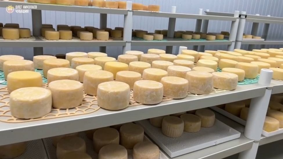 В Чувашии открылась новая «грантовая» сыроварня