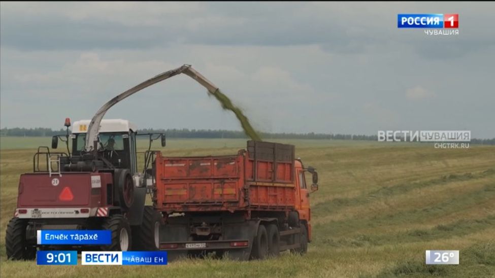Чӑваш Енре кӑҫал пӗр миллион ҫурӑ тонна выльӑх апачӗ янтӑлама палӑртнӑ Чӑваш Енре кӑҫал пӗр миллион ҫурӑ тонна выльӑх апачӗ янтӑлама палӑртнӑ