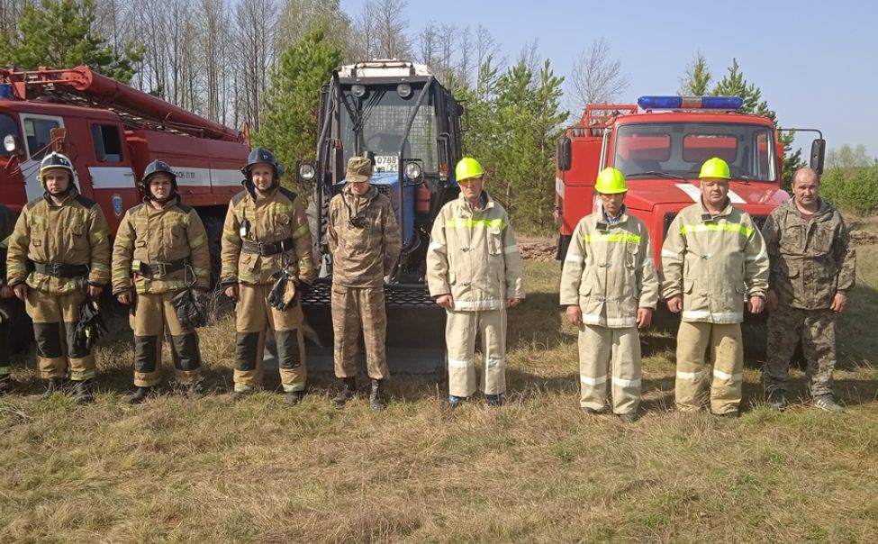 В Алатырском лесничестве ликвидирован лесной пожар