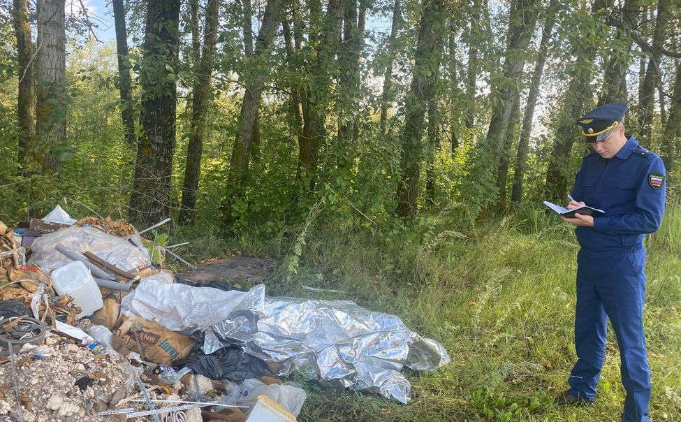 Прокуратура обнаружила незаконную свалку в деревне Аликовского округа