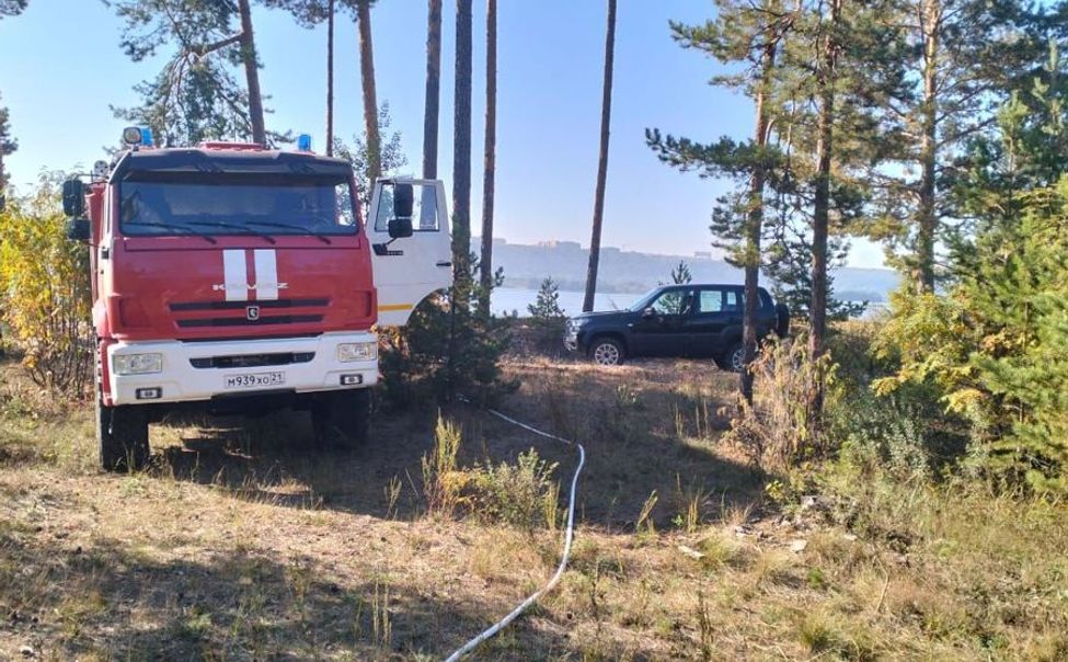 В Заволжье потушили лесной пожар