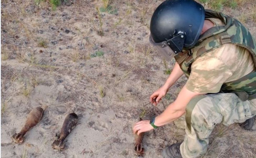 В Заволжье нашли три ржавые мины