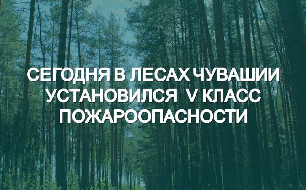 Жителям Чувашии запретили посещать леса из-за высокой пожароопасности