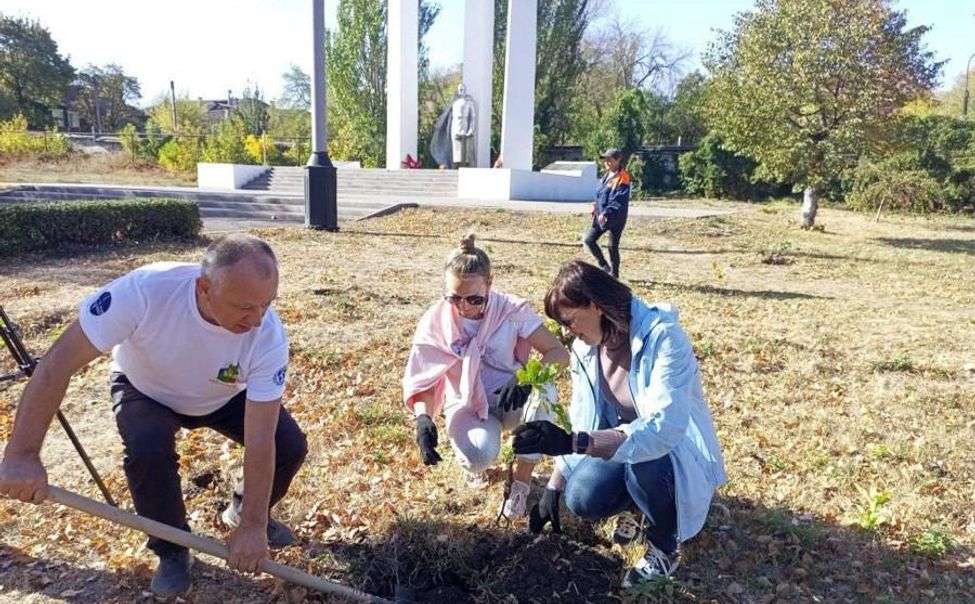 Лесничества Чувашии передали саженцы дуба для ДНР и ЛНР