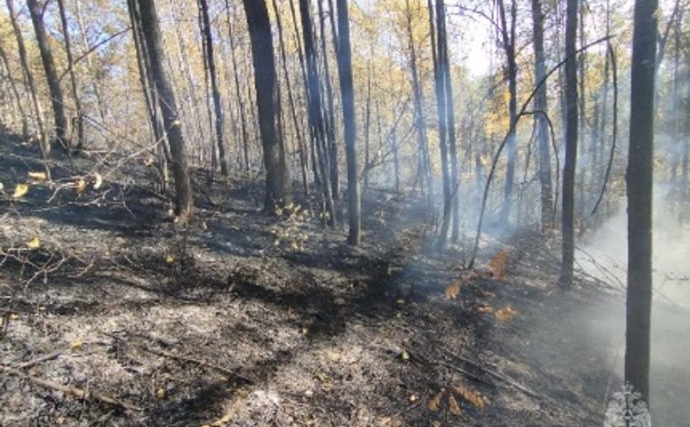 В выходные в Чувашии горели лес и сухая трава