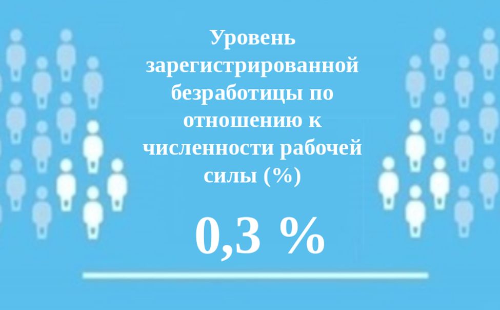 Уровень регистрируемой безработицы в Чувашии опустился до 0,3 %