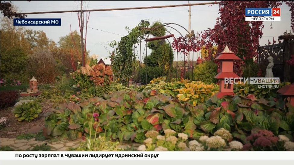 Семья Долговых из Чебоксарского округа воссоздала настоящий райский сад