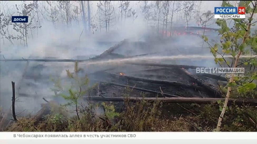 За пожароопасный сезон в Чувашии произошло 13 лесных пожаров