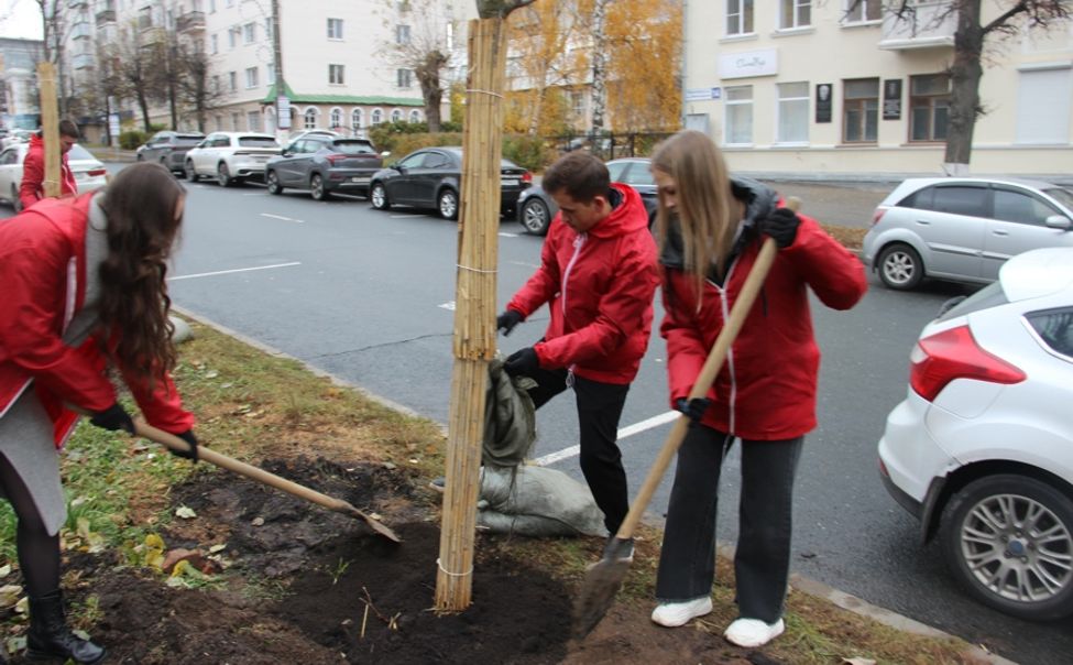 В Чебоксарах на улице Ленинградская высажено 14 лип