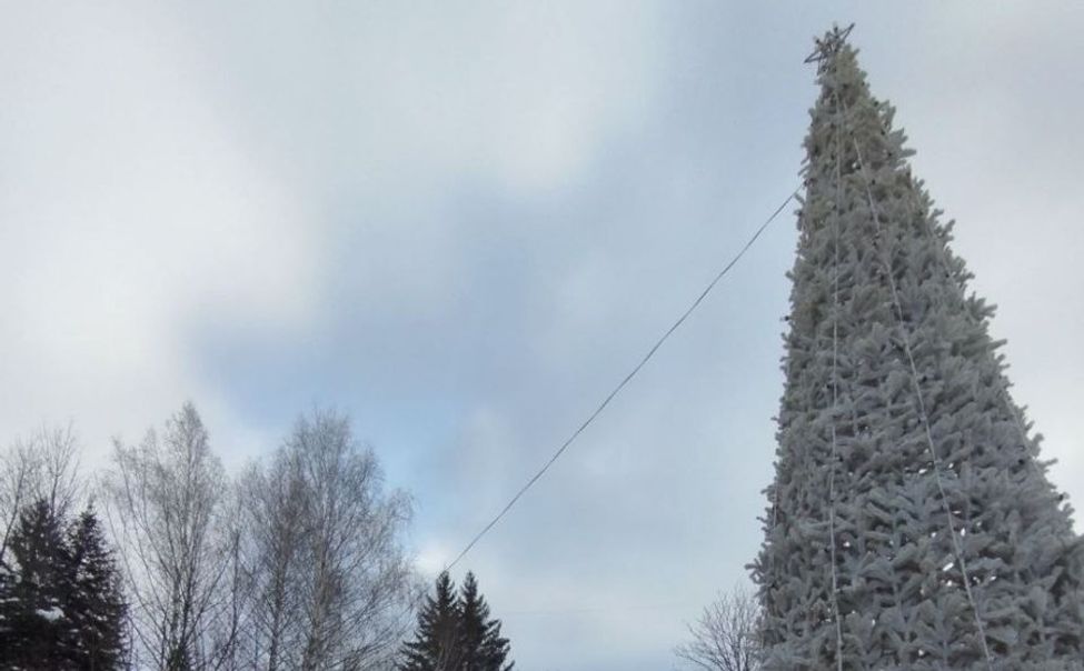 В Чебоксарах на 72 деревьях засияли новогодние гирлянды