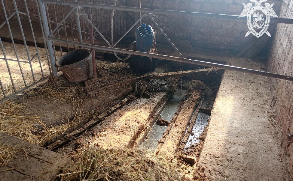 В Комсомольском округе мужчина погиб, убираясь в коровнике. Возбуждено уголовное дело