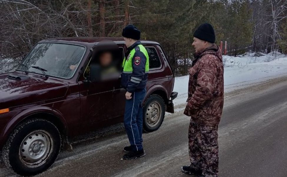 В Чувашии продолжается акция «Не губите ёлочку»