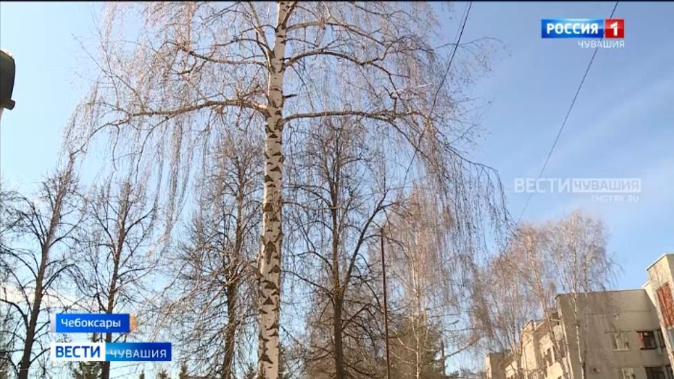 В Чувашии из-за аномально теплой зимы и ранней весны сезон аллергии начался намного раньше В Чувашии из-за аномально теплой зимы и ранней весны сезон аллергии начался намного раньше