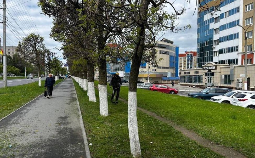 В Чебоксарах продолжаются посадка цветов и покос газонов
