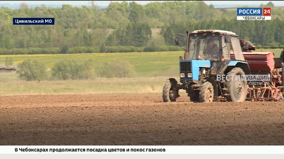 В Чувашии засеяно порядка 80% от запланированных площадей В Чувашии засеяно порядка 80% от запланированных площадей