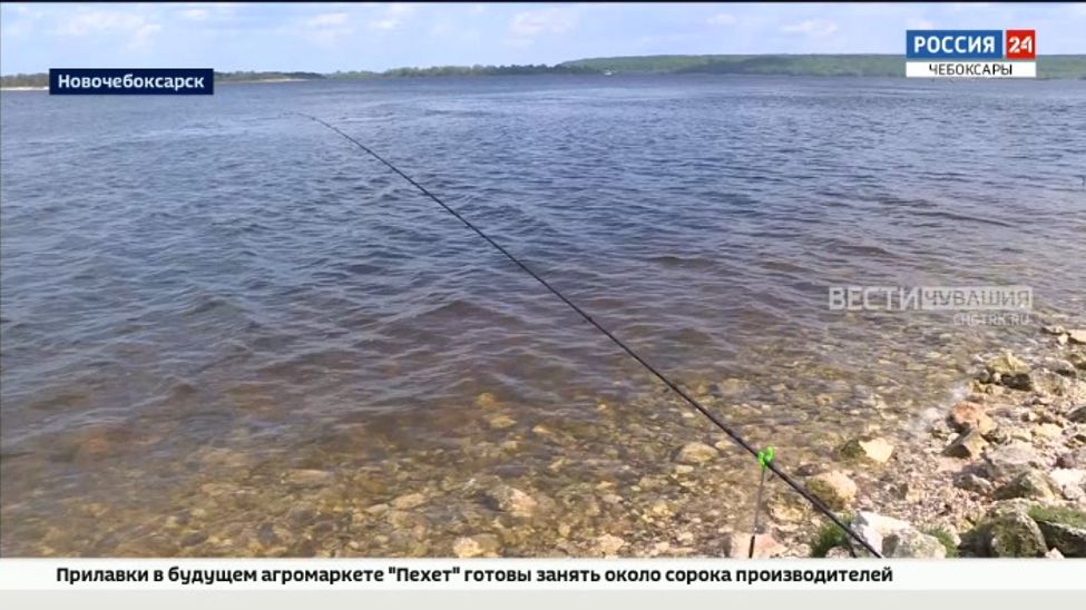 В период нереста рыбы в Чувашии введены ограничения на ловлю