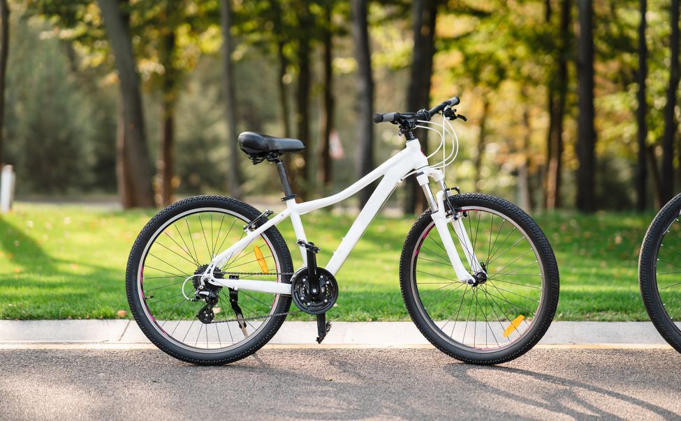 В Ибресинском округе осужден серийный похититель велосипедов