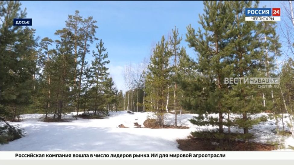 В Чувашии подвели итоги "экологической" госпрограммы за 2025 год