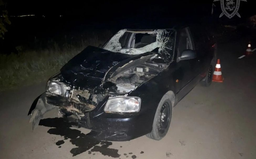 В Ибресинском округе на 10 лет осужден пьяный водитель, насмерть сбивший двух девушек