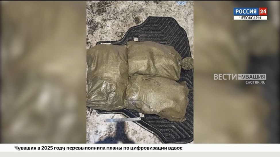 Сибирячка пыталась сбыть в Чувашии 60 кг наркотиков