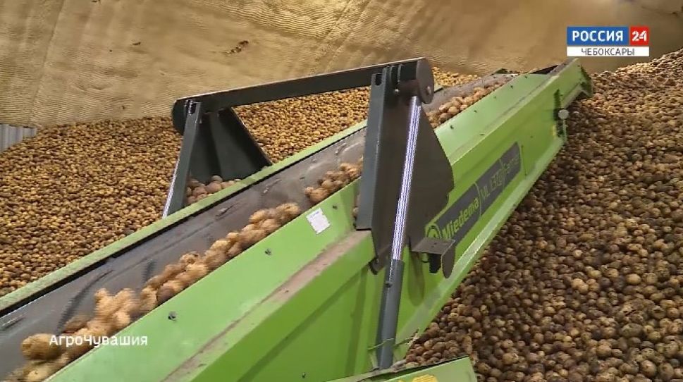 АгроЧувашия. Выпуск от 13.12.2020