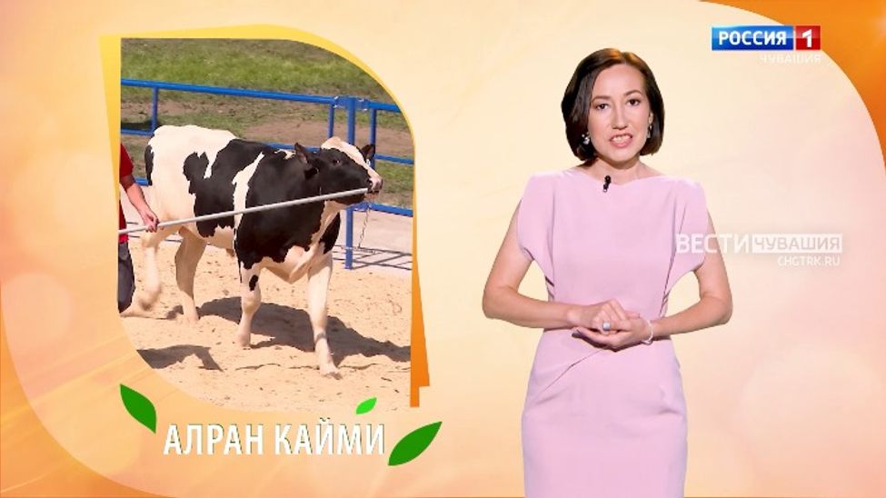 Алран кайми. Эфир от 25.07.2024