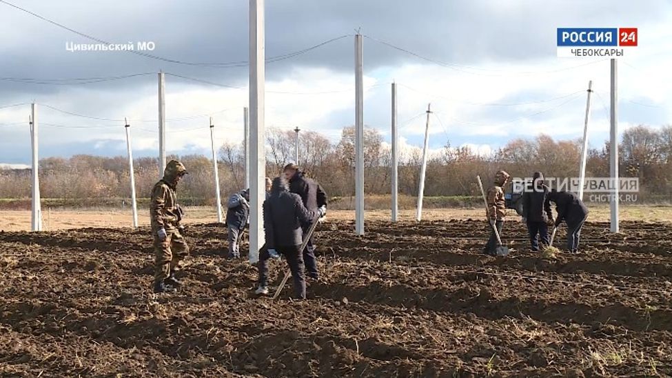 Главная тема.  Эфир от 29.10.2025